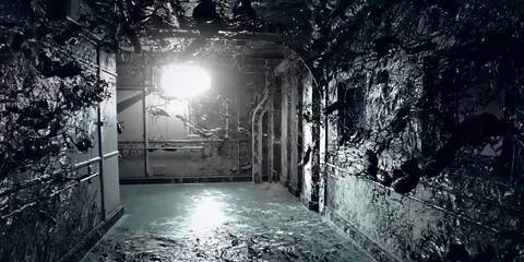 mold taking over a room