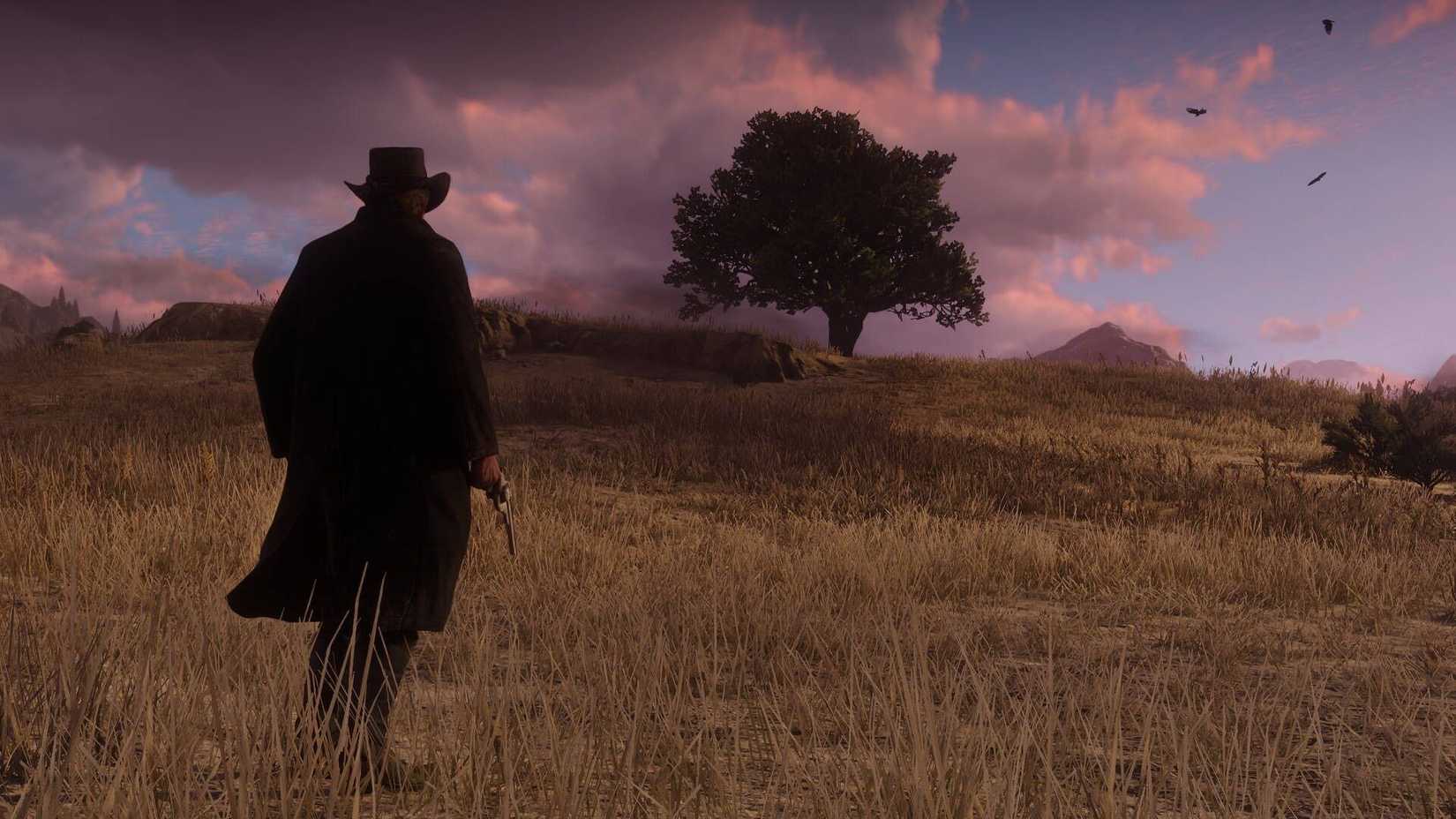 Red dead 2 arthur in the field with cloudy sky