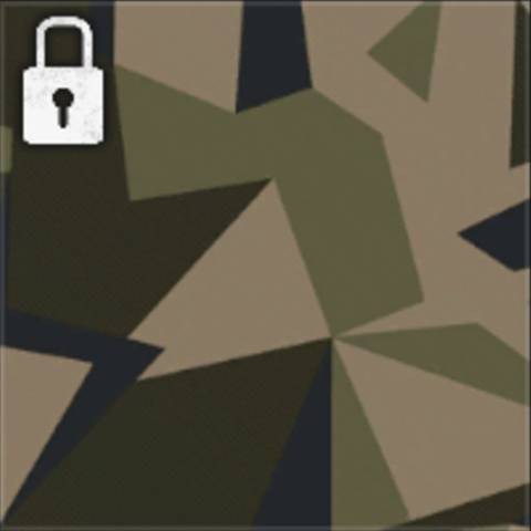 Rugged Camo in Black Ops 6