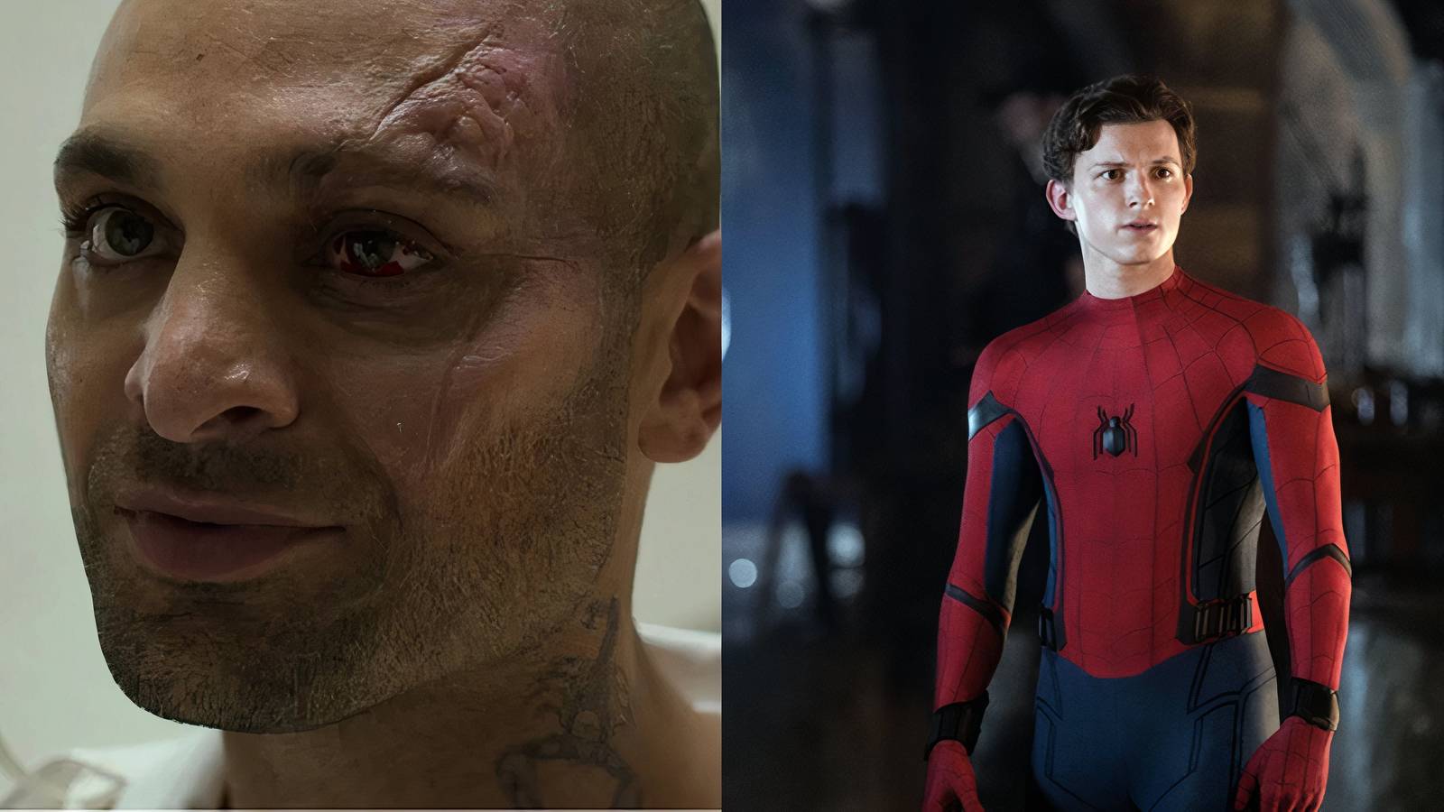 Scorpion and Spider-Man