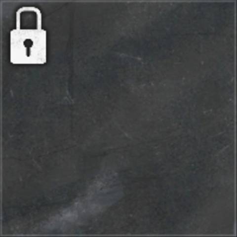 Slate Camo in Black Ops 6