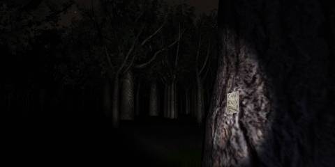 A Page attached to a nearby tree