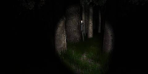 Slender hiding behind tree