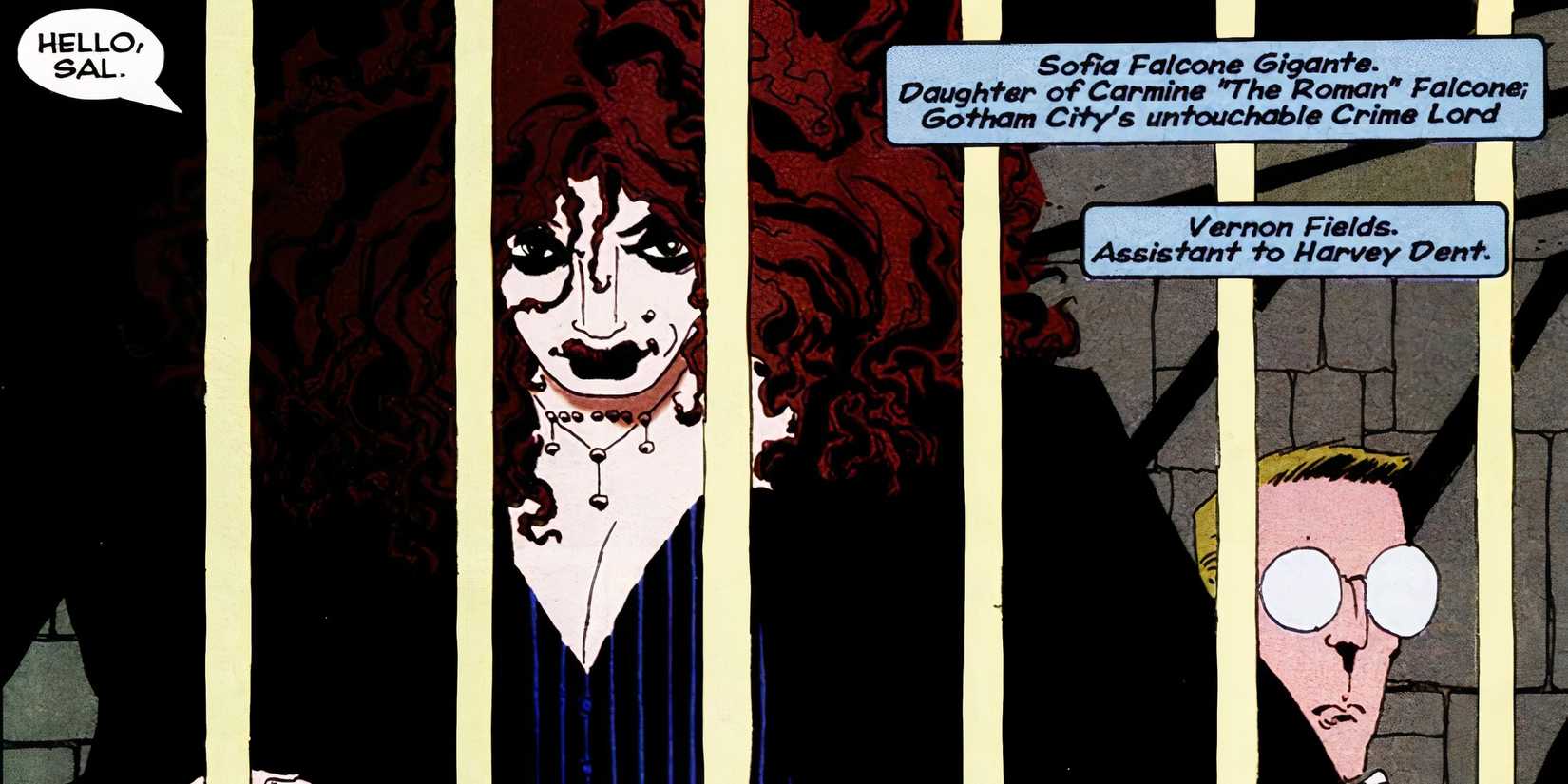 Sofia Falcone In DC Comics