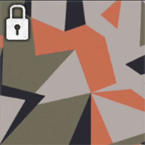 Splinter Camo in Black Ops 6