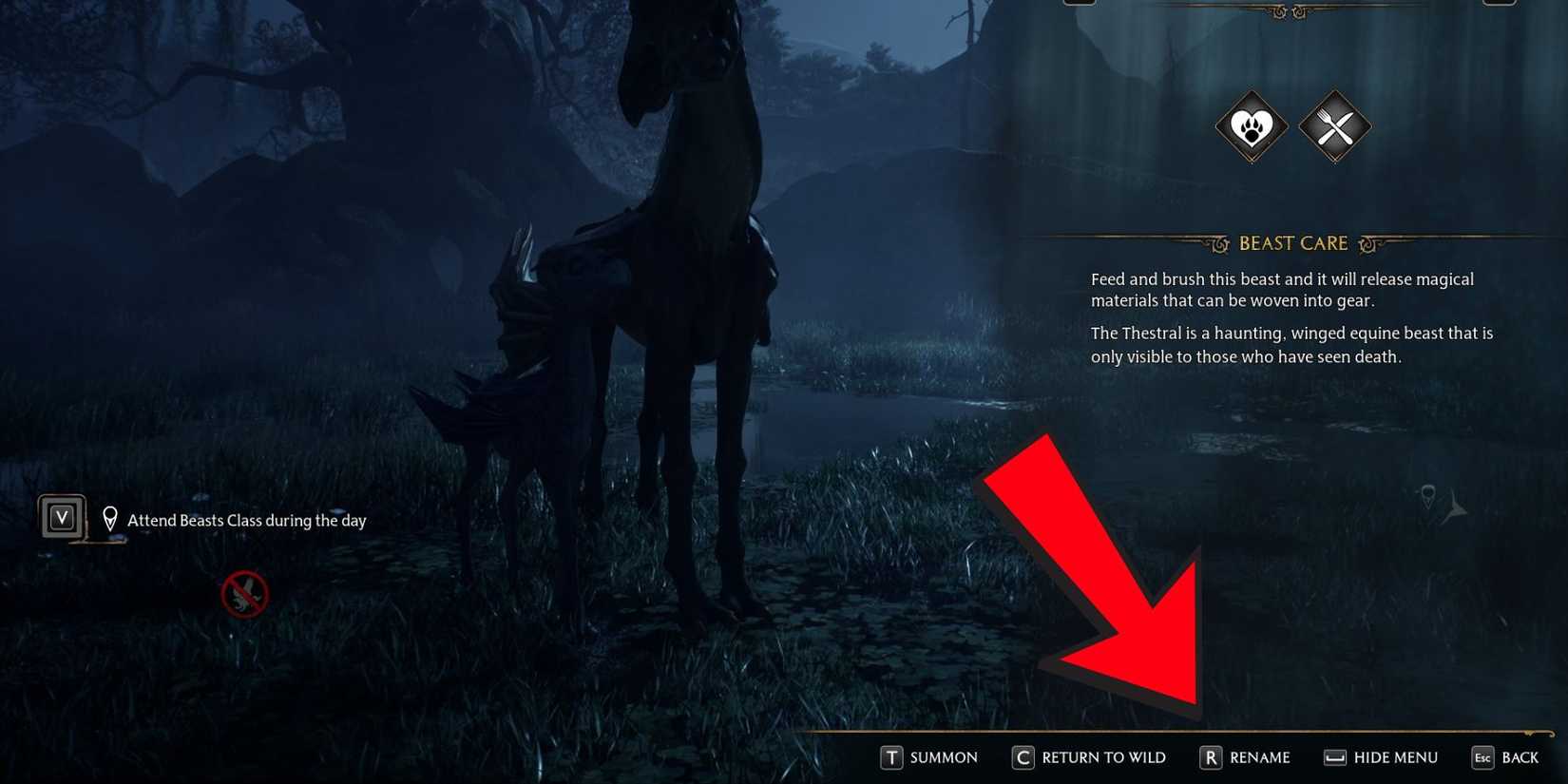 Rename Option for Beasts in Hogwarts Legacy