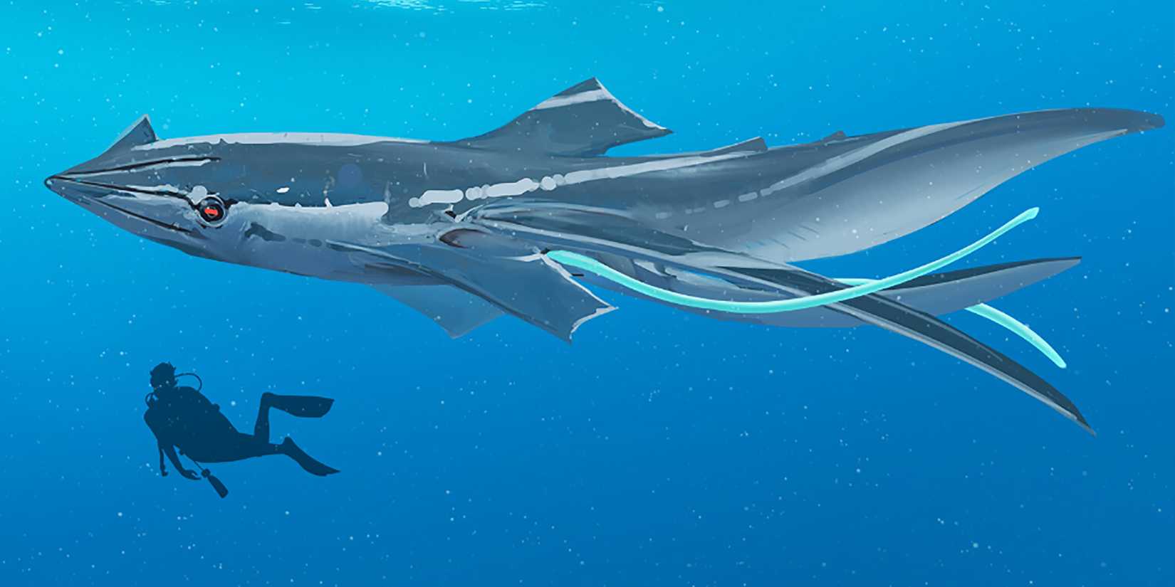 Subnautica Squidshark