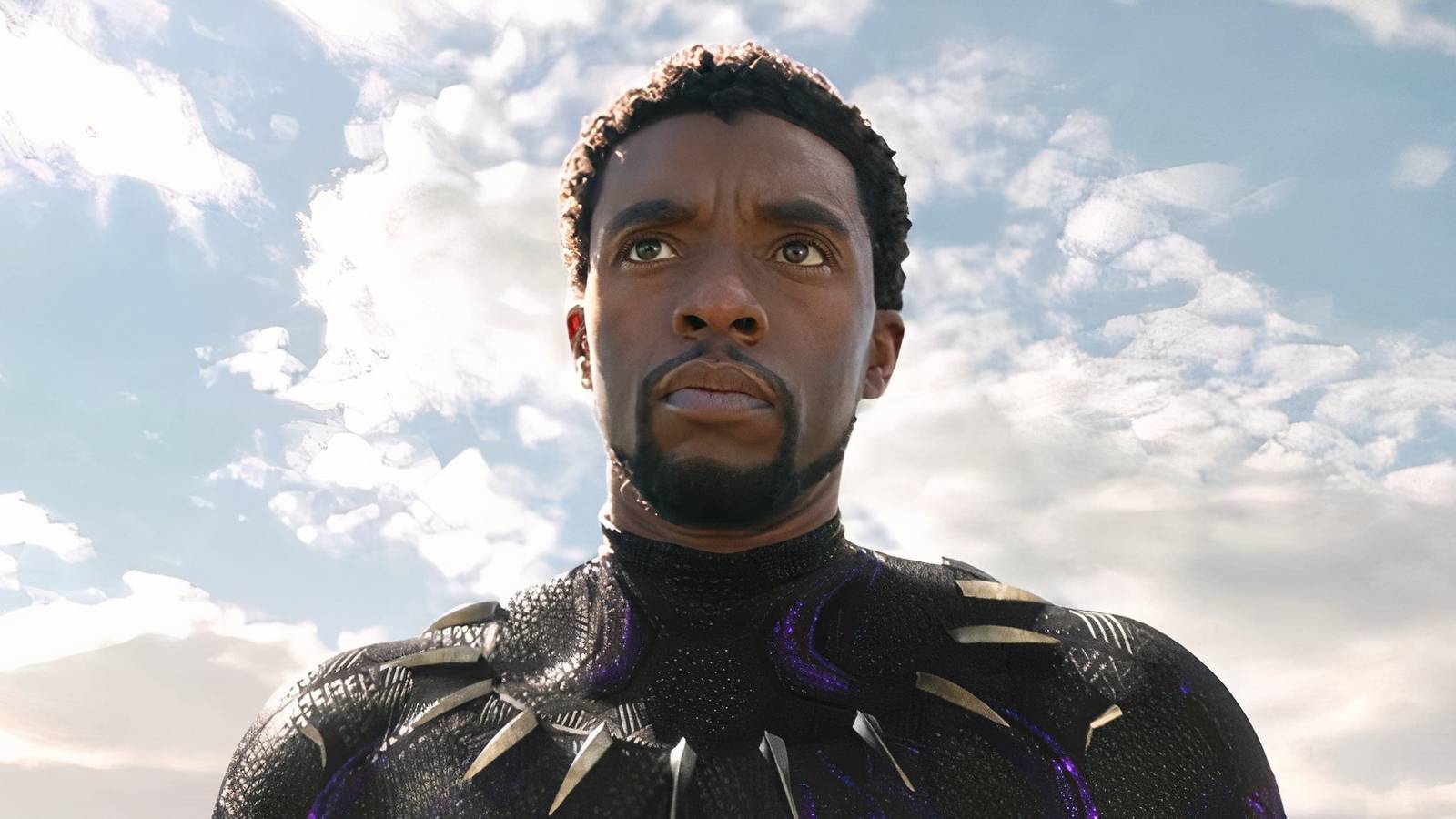 T'Challa in Black Panther 