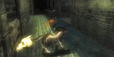 Midna and Wolf Link moving through sewers in The Legend Of Zelda Twilight Princess HD