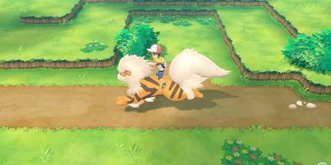 The player riding around in an Arcanine.
