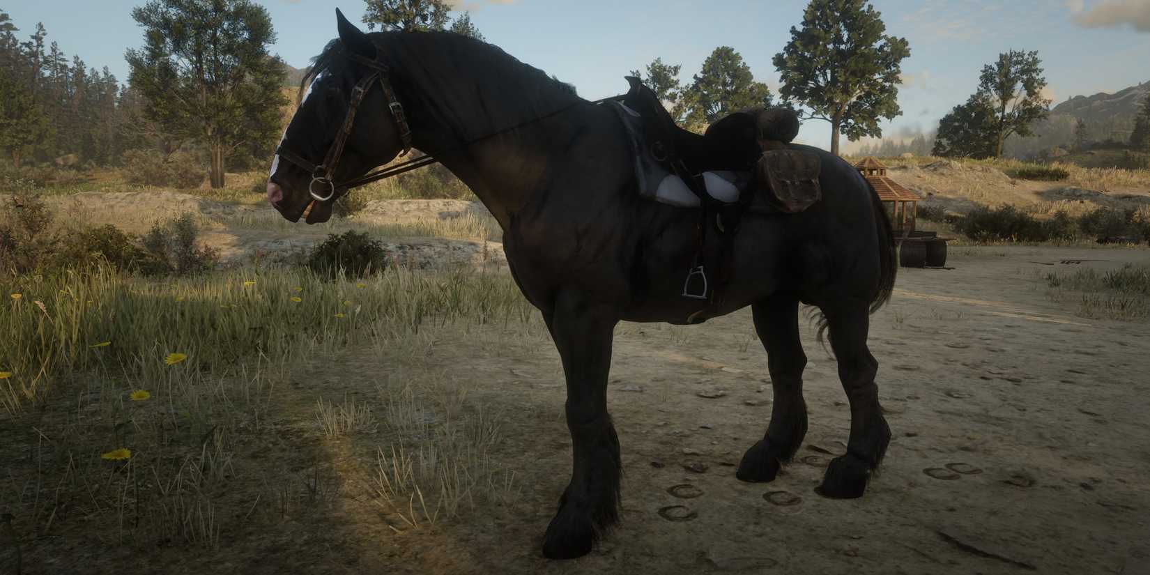 the raven black shire horse