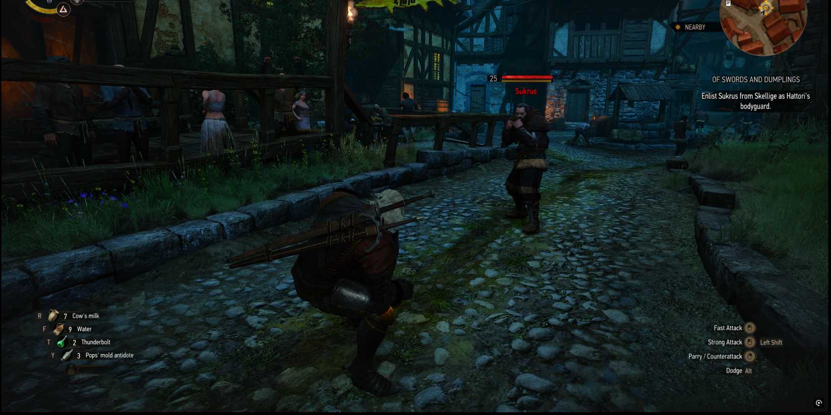 The Witcher 3 - Fighting With Sukrus-1