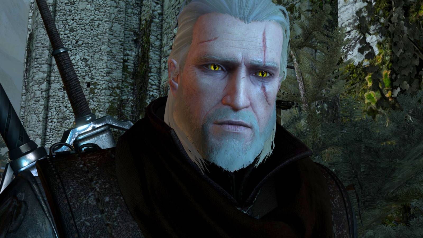 The Witcher 3 seasoned player finds leopard in Beauclair that they had never seen before 