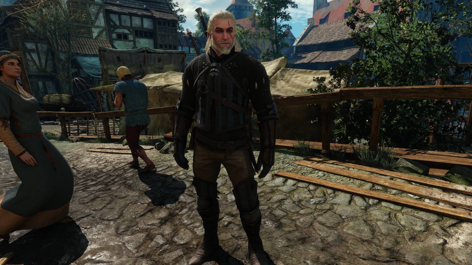 The Witcher 3 - Temerian Armor