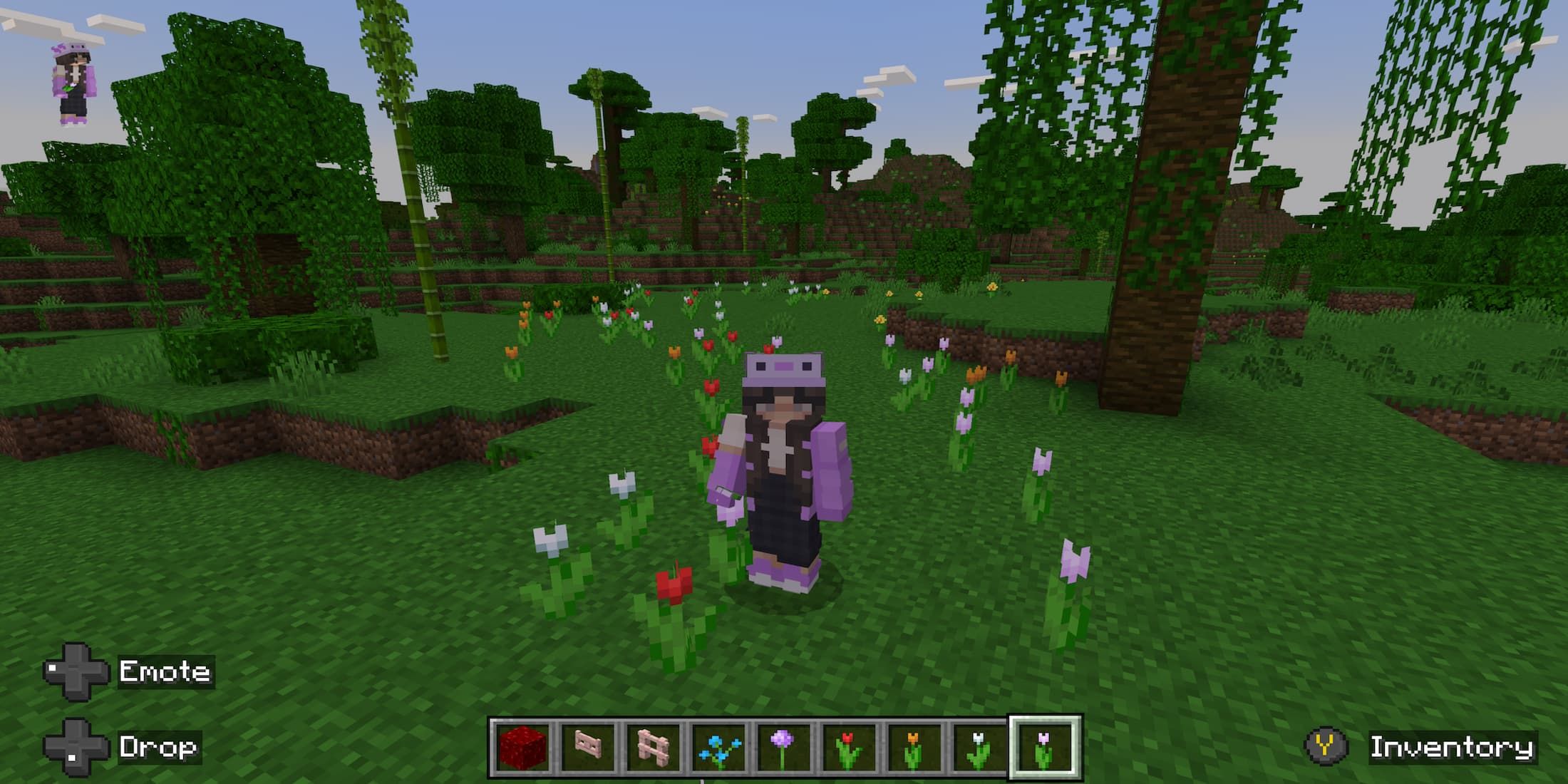 tulips-minecraft