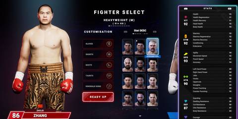 Undisputed - Usyk's stats