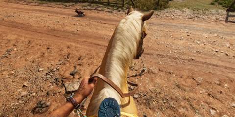 FOV Fixer mod in Far Cry 6