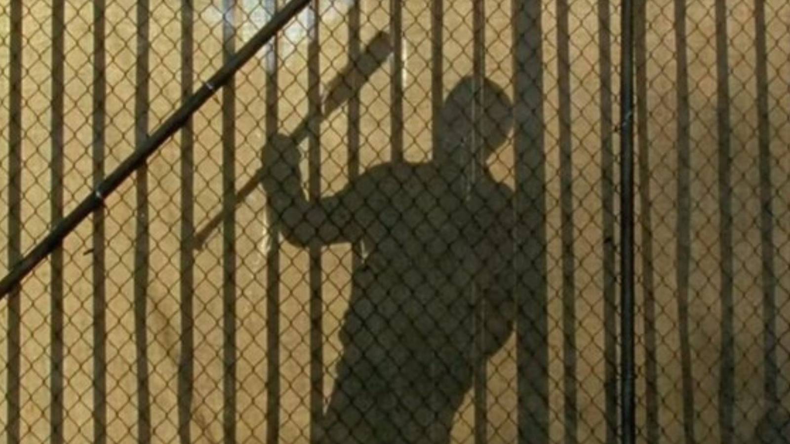 The Walking Dead Negan