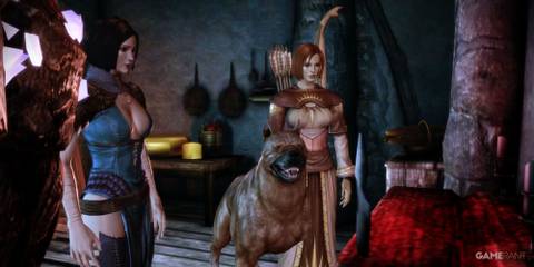 The dog standing next to the player and Leliana in Dragon Age: Origins