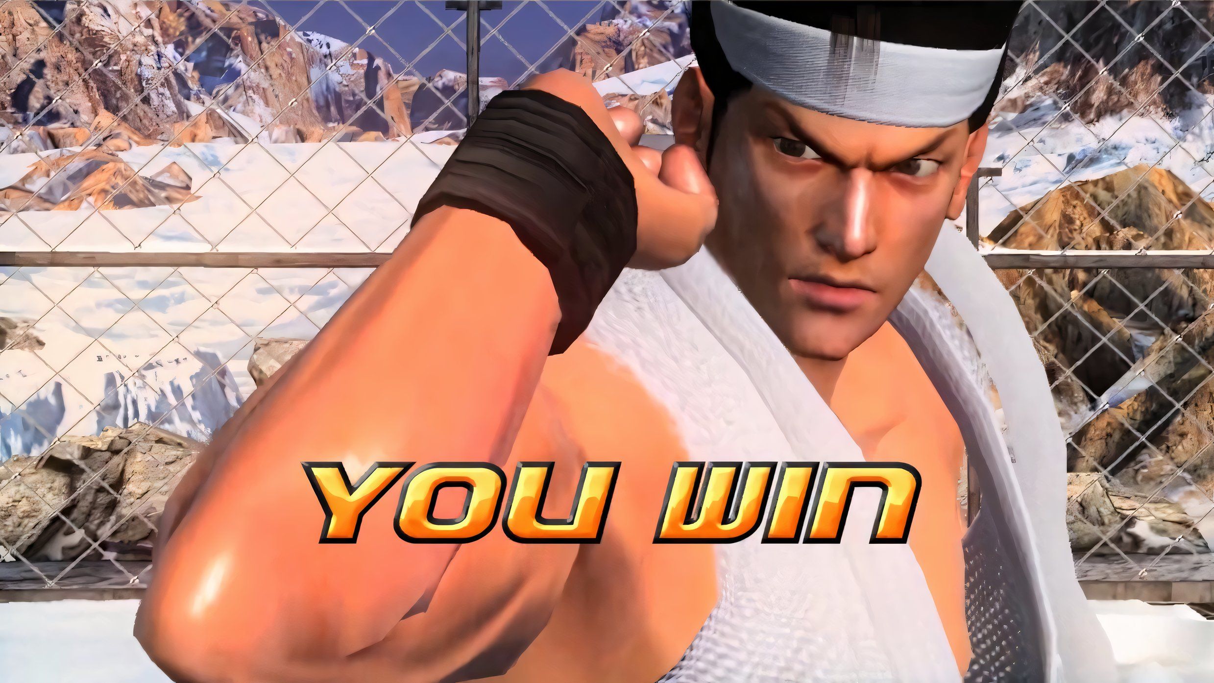 Virtua Fighter 5