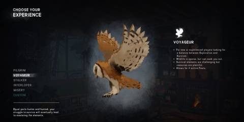 Voyageur Character Gen Screen
