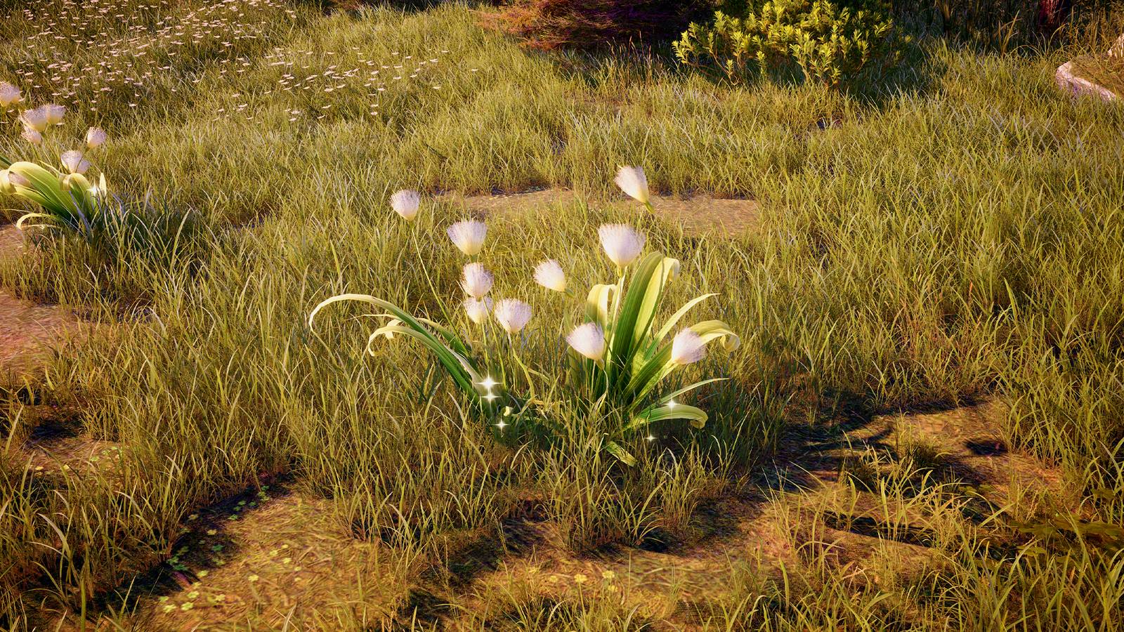 windbloom in infinity nikki