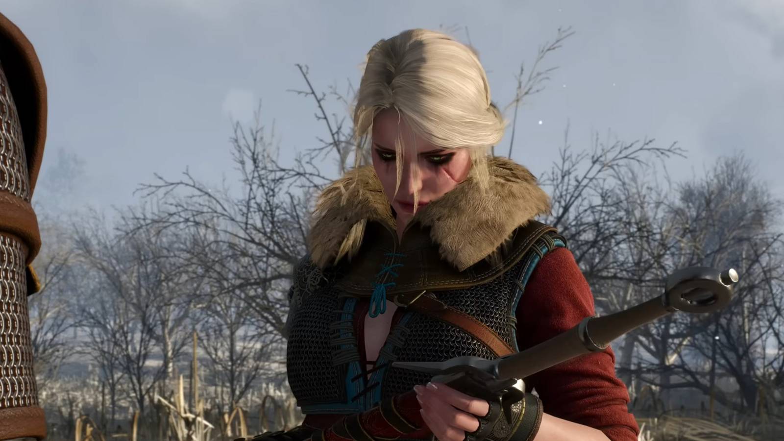 Witcher Ciri Cosplay 2