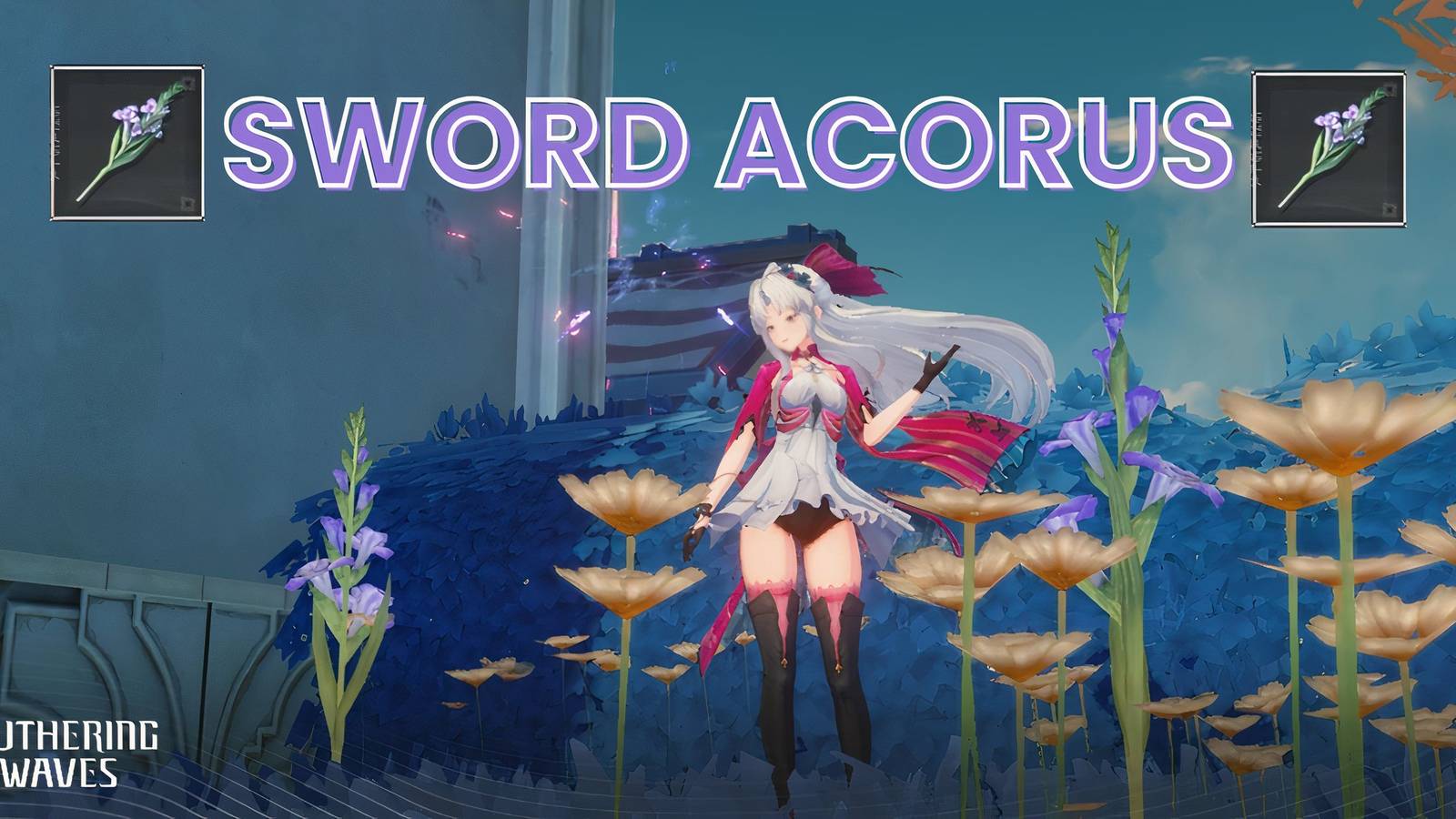 Wuthering Waves_ Sword Acorus Locations