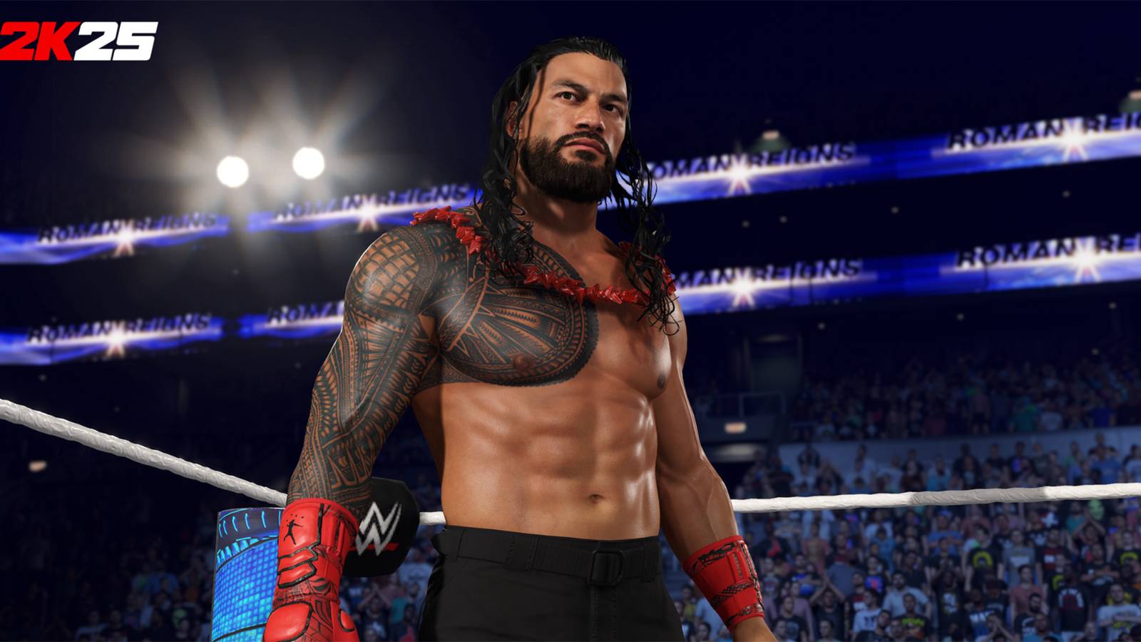 WWE 2K25 Roman Reigns copy