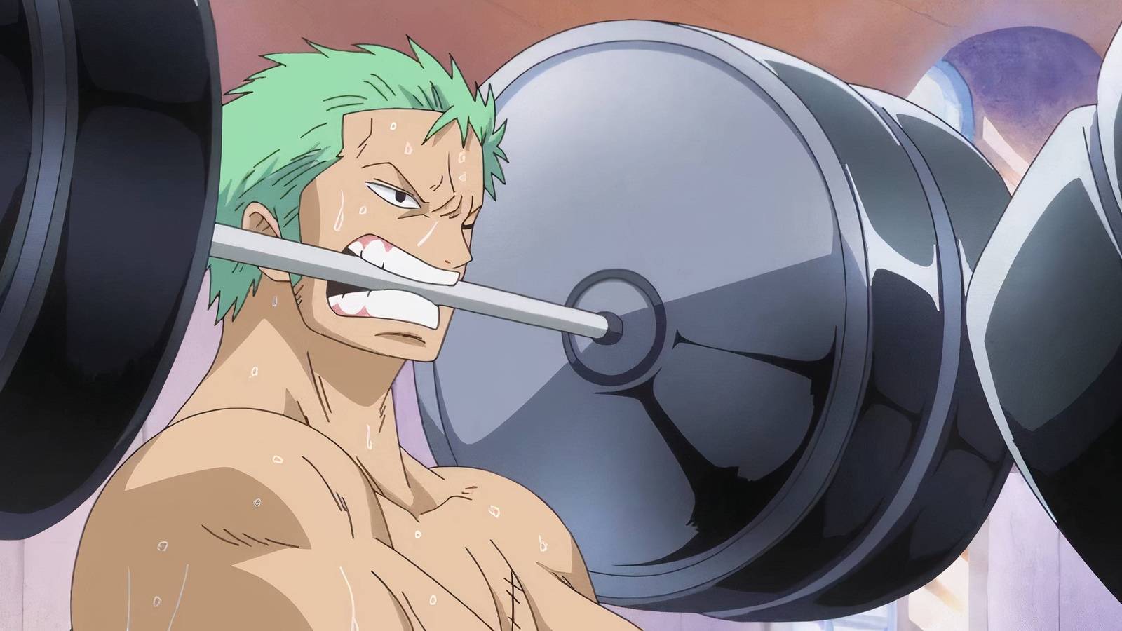 Zoro Hard Work One Piece