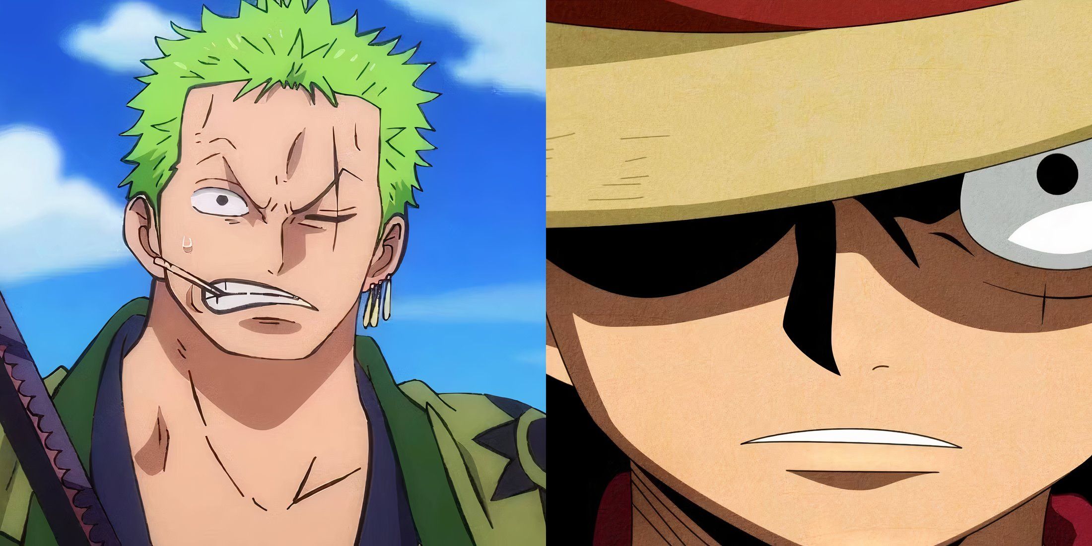 Zoro Luffy One Piece