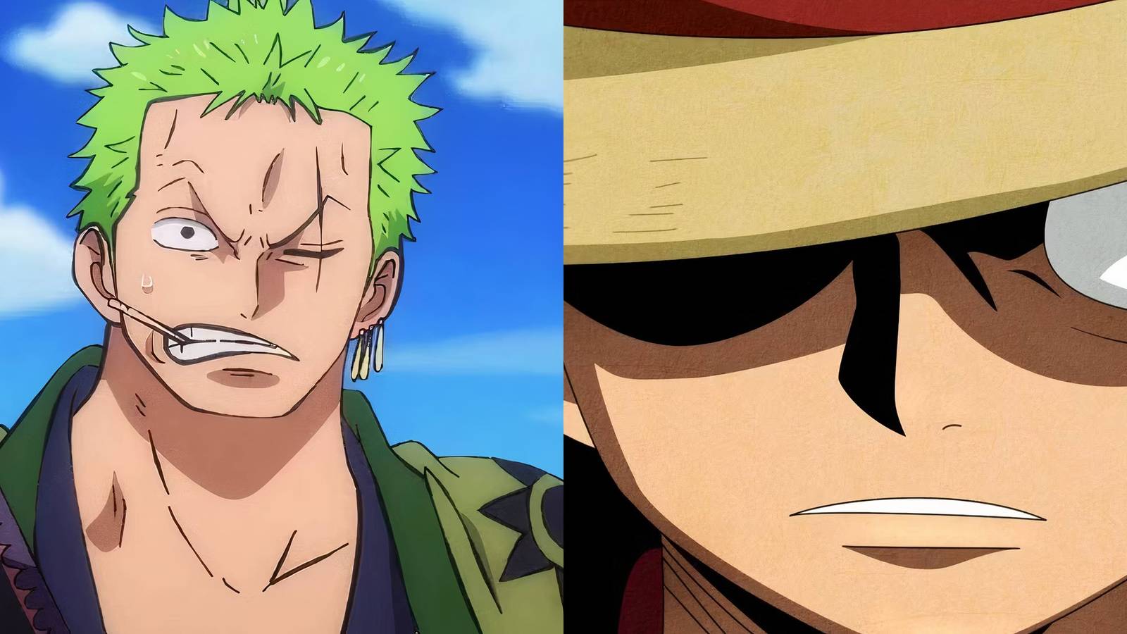 Zoro Luffy One Piece