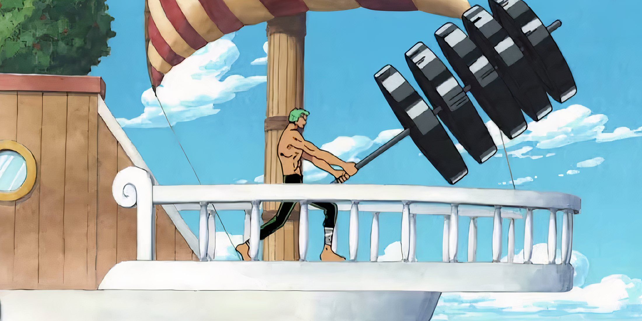 Zoro With Weights