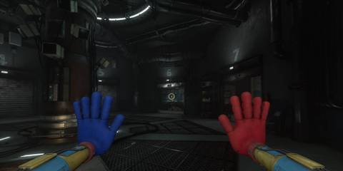 11. Prisoner Profile, Experiment 1163 (0)