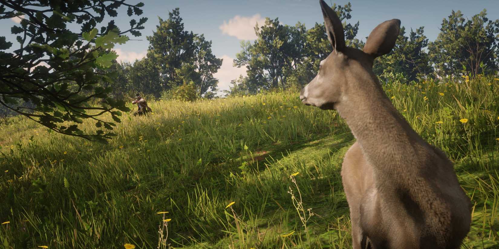 All Master Hunter Challenges & How to Beat Them – RDR2