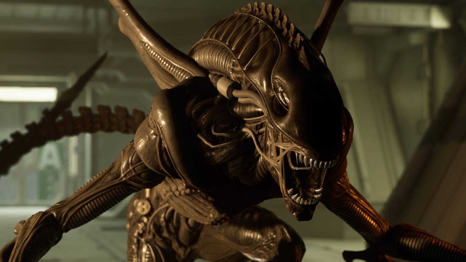 Alien Rogue Incursion Xenomorph close-up-1