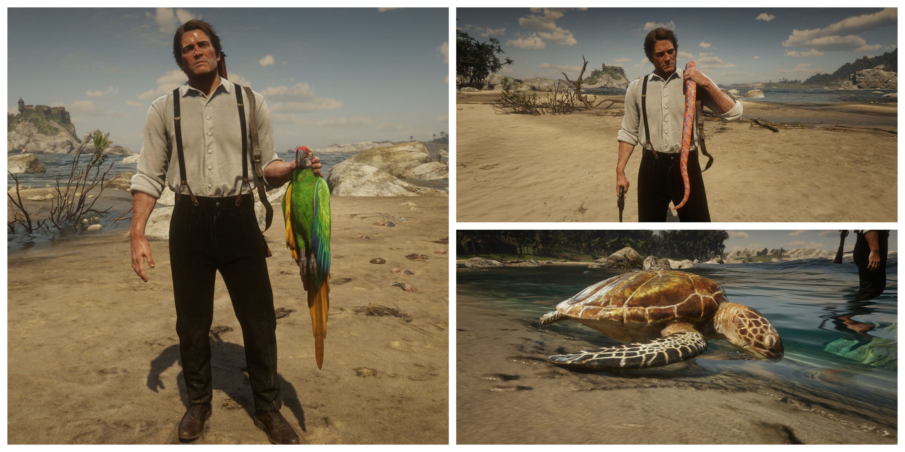 red dead redemption 2 guarma all animals