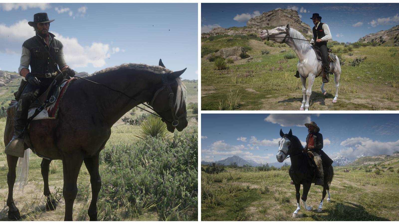 all van der linde gang horses