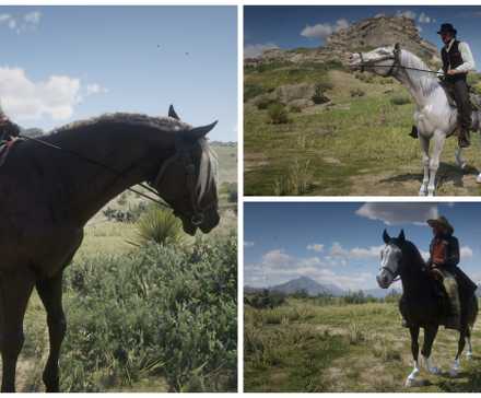 RDR2: All Van der Linde Camps, Ranked