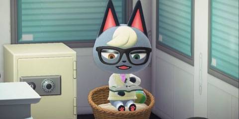 animal crossing new horizons raymond