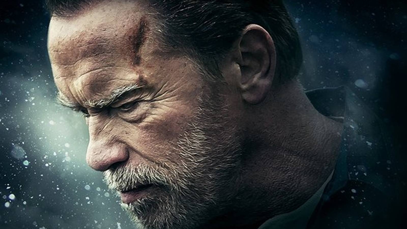 Arnold Schwarzenegger Aftermath Movie