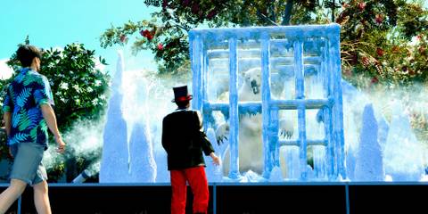 Attending a polar bear event in Like a Dragon Pirate Yakuza in Hawaii