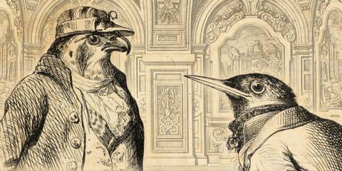 Aviary Attorney Falcon and Sparrowson