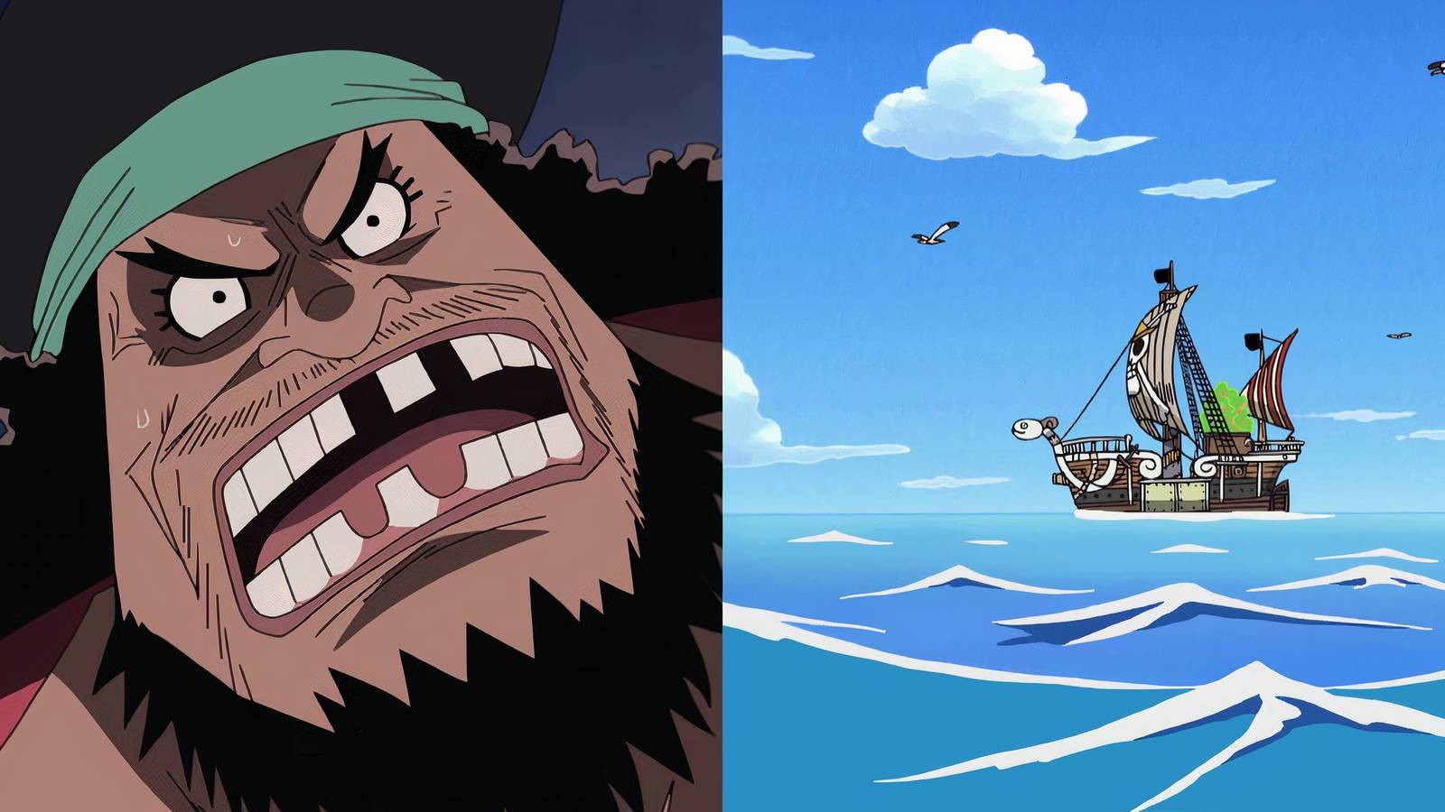 Blackbeard Water One Piece