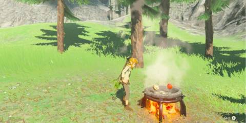 Breath of the Wild(2)