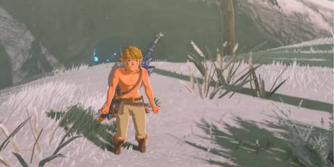 Breath of the Wild(3)