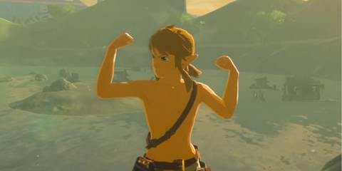 Breath of the Wild Link