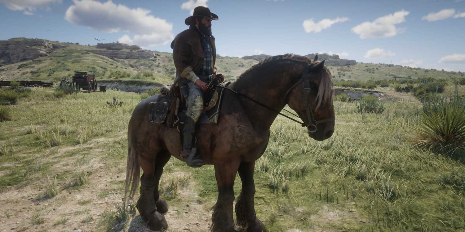 Brown Jake Rdr2 RDR2: Every Van der Linde Gang Horse, Ranked