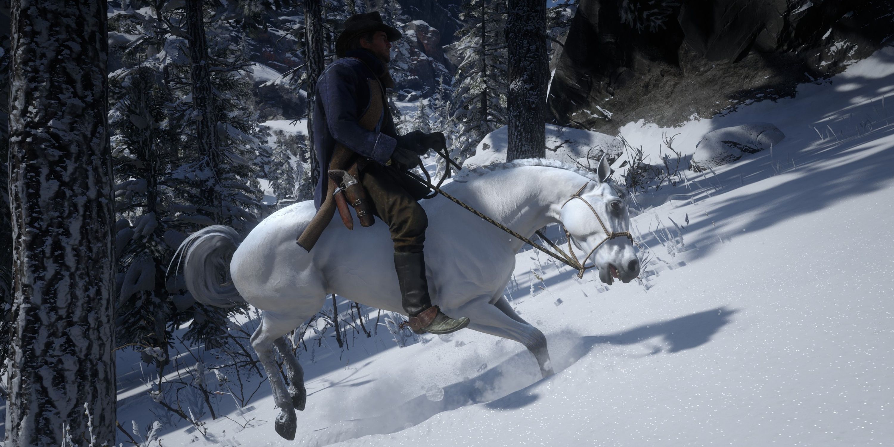 bucking the white arabian