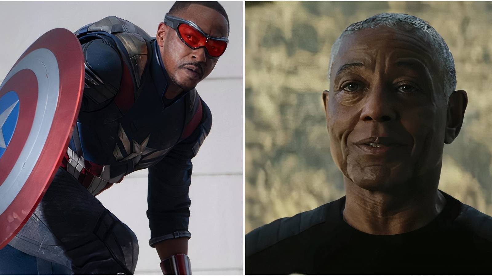 Captain America and Sidewinder in Captain America Brave New World